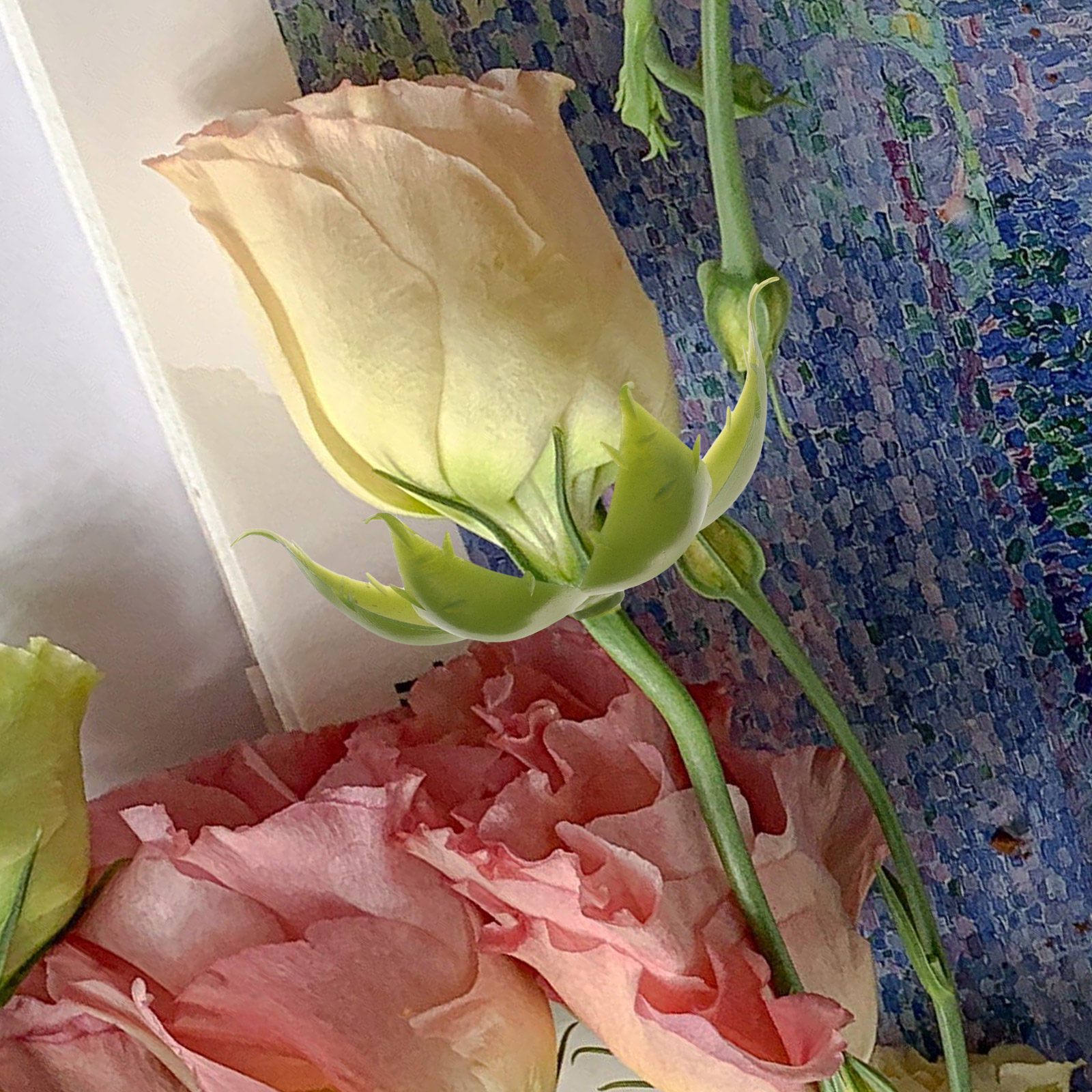 Soap Making Ins - 50 Stück künstliche Rosenblütenblätter aus Kunststoff