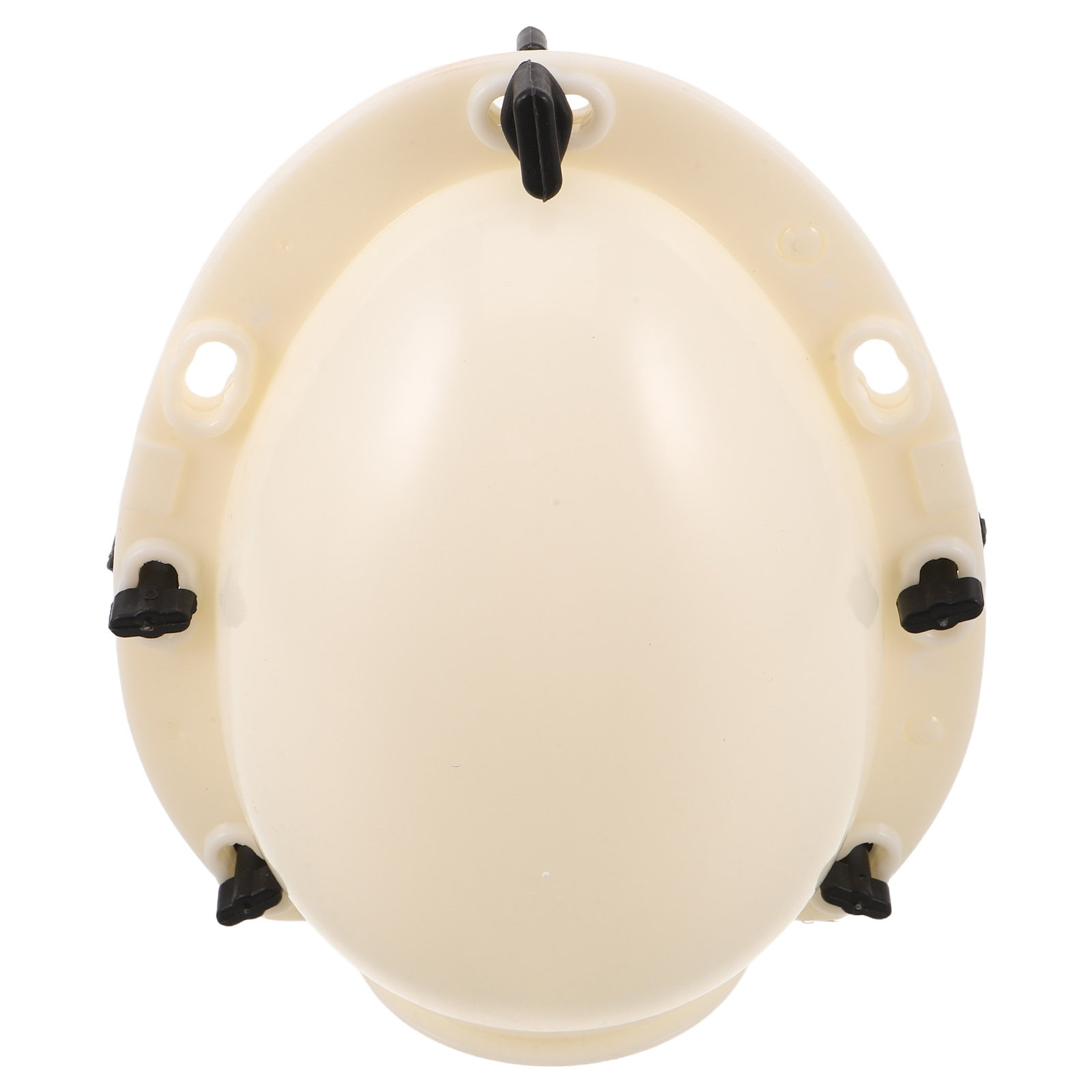 Jumbo 20 cm Ostereierform, 3D- – Soap Making Ins Bewertung und Preis